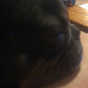 Meet your Posher, Brett